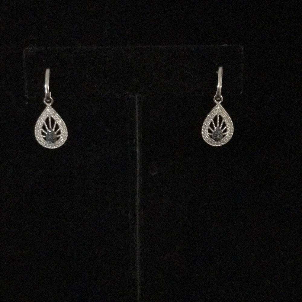 Earrings - 10k WG - Blue and White Diamond